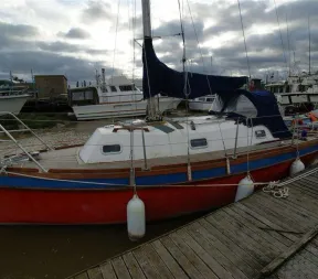 Custom DITCHFIELD 25 for sale