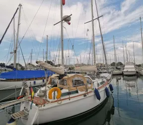 Amel SHARKI for sale