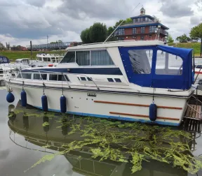 Birchwood Sedan 29 for sale