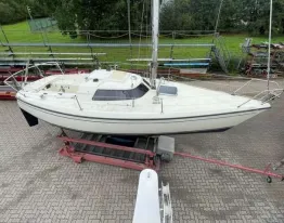 Maxi MAXI MAGIC for sale