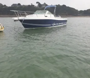 White Shark WHITE SHARK 236 for sale