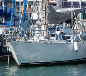 ACNNO DAMIEN IV for sale