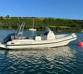 PRO MARINE 25 HELIOS for sale