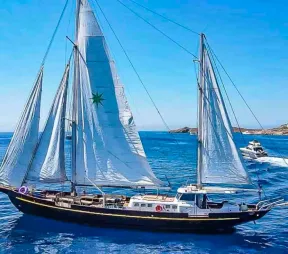 Custom BELIARD CRIGHTON 100 for sale