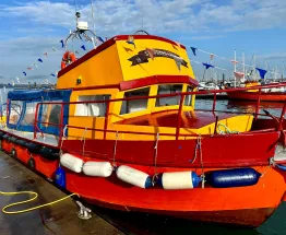 Passenger Vessel for sale