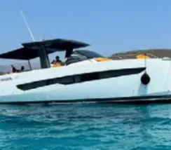FIART 43 SEAWALKER for sale