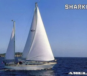 Amel SHARKI for sale
