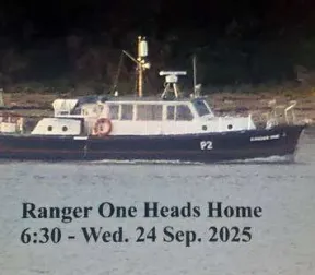 Nelson NELSON 40 for sale