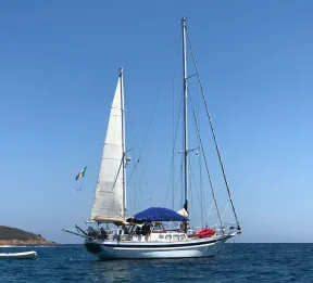 JONGERT 19 S KETCH for sale